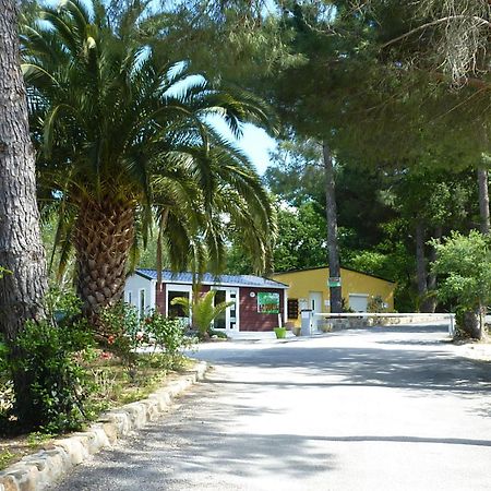 Camping Des Alberes Laroque-des-Alberes Екстер'єр фото